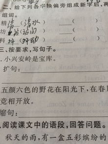 放的偏旁是什么偏旁怎么读，方的偏旁是什么部首