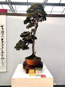 “浥”的解释是什么?“浥”怎么读?