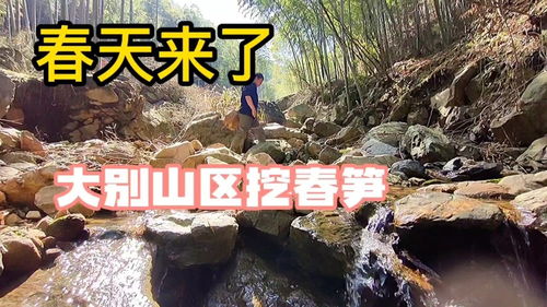 靠山吃山靠水吃水的意思是什么类似的句子还有什么，靠山吃山靠水吃水的意思差不多的