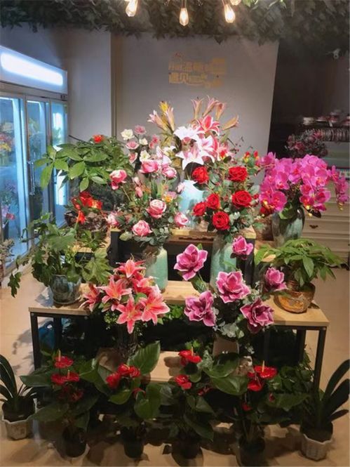 洛花星雨，洛花糖jk制服馆