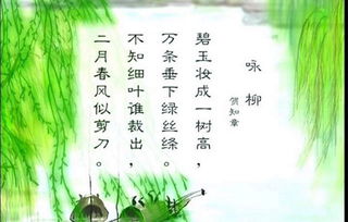 咏柳古诗原文全解，咏柳古诗原文及翻译视频