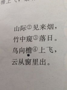 窥怎么读组词，窥伺怎么读