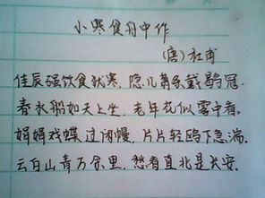 寒食这首诗的意思是什么20字，寒食这首诗的意思以及表达的思想感情