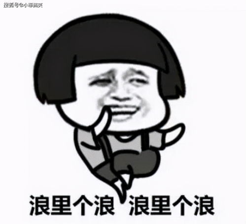 一本正经是什么意思三年级，一本正经是什么意思并造句
