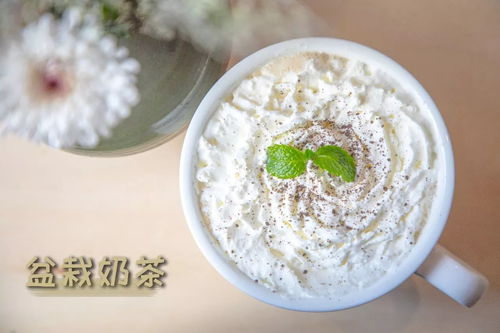 温热论，温热的食物可以直接放进冰箱吗