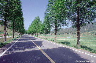 荫凉地里溜达去什么意思，荫凉地什么意思