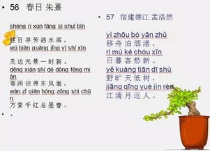 “八阵图”是什么意思?