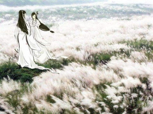 蒹葭是什么意思?