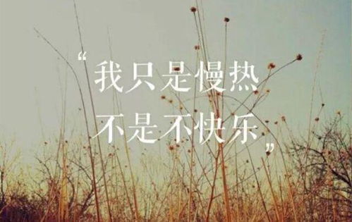 慢热是什么意思?