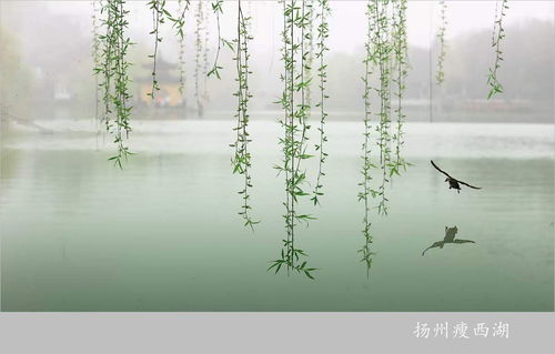 春去夏来，春去春会来,花谢花会开,只要你愿意,让梦划向你的心海