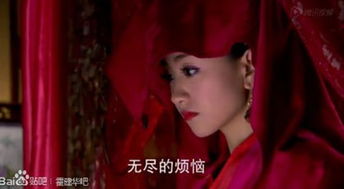 阴柔和娘的区别陈坤