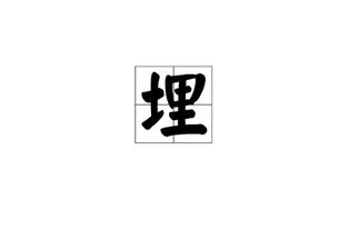 理怎么组词，埋怎么组词语和拼音