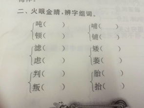 睛组词有哪些
