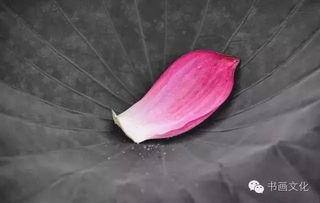李白的《玉阶怨》中的“玉阶”指什么?
