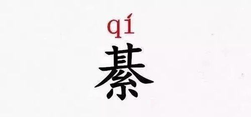 綦怎么读姓氏粤语，綦怎么读