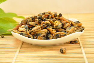 淡菜是什么季节吃的，小定风珠中淡菜是什么
