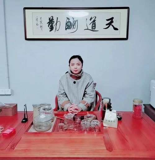 不忮不求何用不臧意思，不忮不求下一句