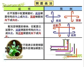 筋怎么读