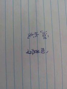 笺怎么读 拼音