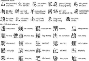 珍贵的拼音