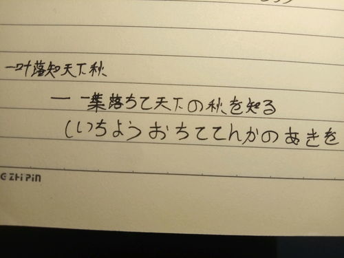 依然近义词有哪些，依然近义词是什么字