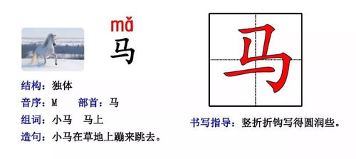 抡组词和拼音和部首，抡组词拼音形近字