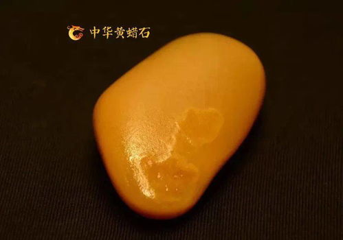 石加个乏念什么?