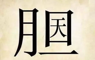 蝙的成语和部首拼音结构，蝙成语成语