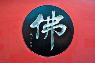 放下屠刀立地成佛指十二生肖什么动物