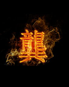 龘怎么读拼音，高祖刘龑怎么读