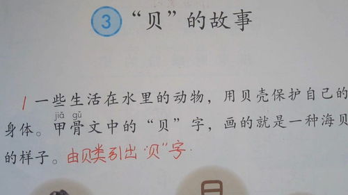 贝偏旁的生字，贝偏旁部首的字都与啥有关