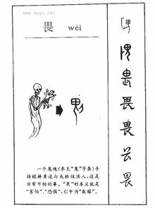 “畏”是什么意思?