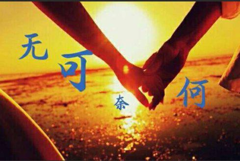 无可奈何的造句