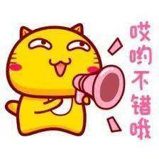 有心无力的经典句子，有心无力的诗句