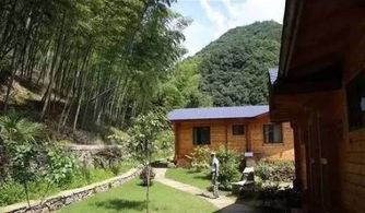 屋舍俨然的俨然什么意思，屋舍俨然有良田美池桑竹之属翻译