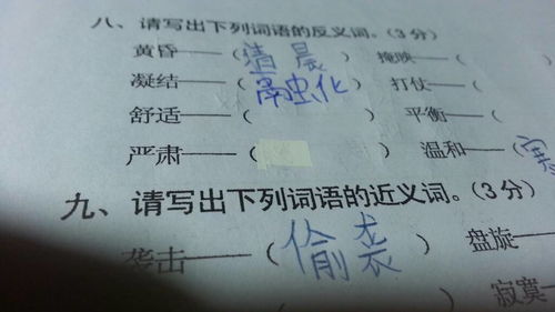 严肃的反义词是什么词，严肃的近义词是什么 二年级下册