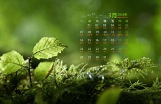 自然什么意思
