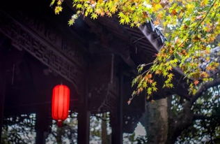 拂意时吞冰啮雪,才为火内栽莲，拂意之事是什么意思