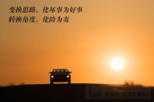 化险为夷的意思