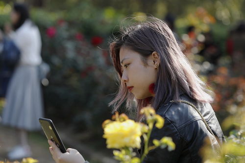 争妍斗艳的意思是什么解释，争妍斗艳的意思是