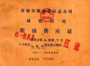 名目是什么意思