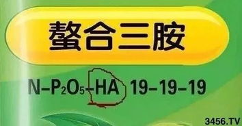 镓怎么读 拼音，硝酸铵怎么读