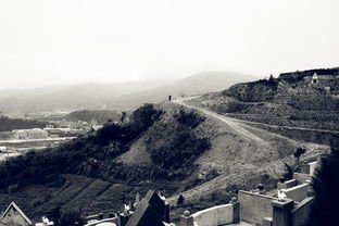 摄怎么读 拼音，攫怎么读组词