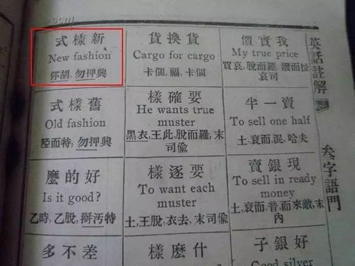 婶的拼音组词，陀的拼音