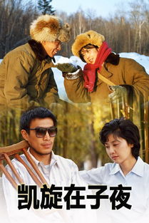 凯旋在子夜剧情介绍，凯旋在子夜 电视剧