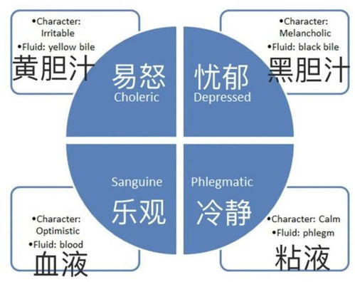 体液是指什么东西