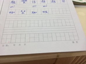 蜘组词(10个)