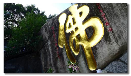 立地成佛是什么生肖正确答案，立地成佛是指什么生肖动物