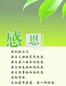 2022情人七夕节发红包感谢的句子