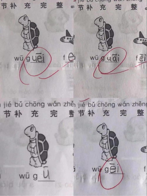 甲壳读音是什么